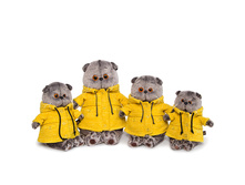 ����� � ������ ������ "B&Co"