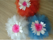 ���� �� �������