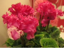 �������� ���� �������