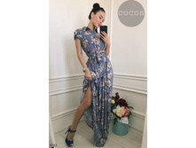 Plate-5733.jpg  1752���