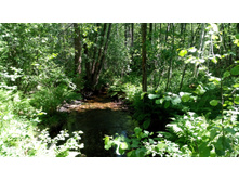 IMG 20180616 104756.jpg