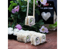 ���� ����������