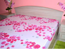 �������� ����.