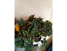 IMG-0d31566f8ec062b6d635dfd669af2b48-V.jpg