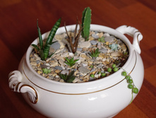 ������� ���)