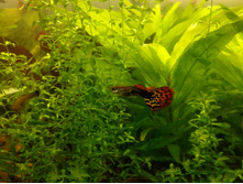 IMG 20180601 182213788.jpg