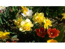 P 20180515 093523.jpg