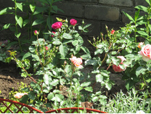 �����/���� ���� Heidi Klum.JPG