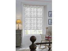 ���� �����.jpg