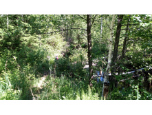 IMG 20180616 123830.jpg