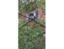 IMG 20180525 074131.jpg