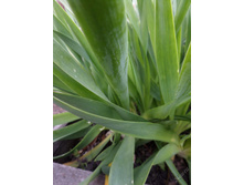 ���-�����