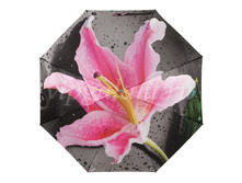 Zont-zhenskiy-163-diniya-3-slozh-s-a-satin-fotoprint-na-polnyy-kupol 1.jpg