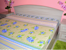 ������ ����.