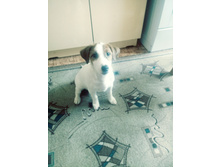 20180605 114907 Film3.jpg