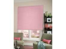 �������� �����, ����� �������