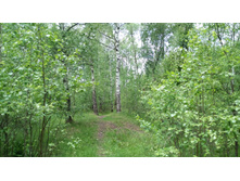 IMG 20180602 123043.jpg