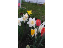 P 20180513 202148.jpg