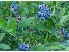 �������� ���� ���� 322� �5 464�