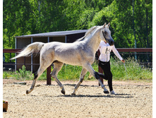 �������� ������