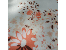 IMG 20180529 132801 HHT.jpg