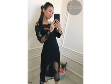 Plate-5608.jpg  2025���