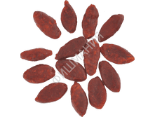 ���� ����� ������� 500 �