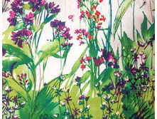 59579fcacb7ff img112.jpg