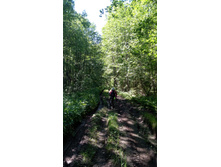 IMG 20180616 105654.jpg