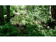 IMG 20180616 104830.jpg