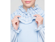 ������ �����-2, 05007009golub 5.jpg