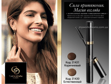 ������������ ���� ��� ������ ��������� �����