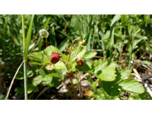 IMG 20180616 121425.jpg