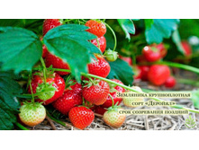 ������� �������.jpg