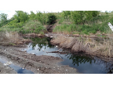 IMG 20180603 085405.jpg