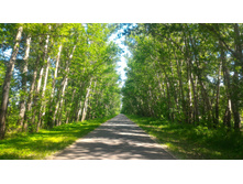 P 20180623 103522.jpg