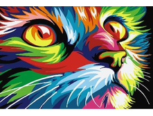 ������� �� ������� CX 3220 �������� ��� 20*30 ����: 260.00 RUB