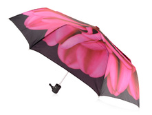 ����� «�������», ������/������� ����: 712 RUB ������� / ���: 961769297