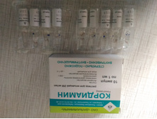 ��������� 250�� ��� 120���