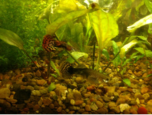 IMG 20180601 194221375.jpg