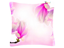 ������� ������ �������, ���2004.jpg