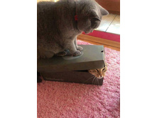 ��� ��� ���� ������� � ����� �� ���������� ...