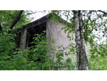 IMG 20180602 103137.jpg