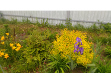 P 20180602 092851.jpg