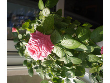 DSC00024.JPG