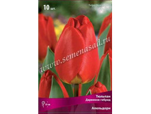 ������� ���������.jpg