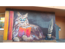 P 20180620 193516.jpg