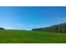 P 20180623 104906.jpg