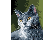 ������� �� ������� EX 5551 ����� ������� 30*40 ����: 300.00 RUB