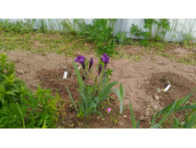 P 20180527 160223.jpg